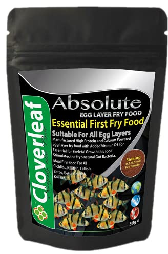 Cloverleaf 50g Absolute Egg Layer 45% High Protein & Calcium Powdered Fry Starter Food