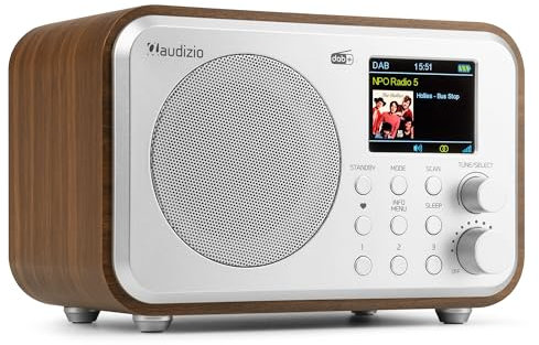 Audizio Milan Radio Dab+/FM Portable avec Bluetooth, Écran Couleur 2,4, Batterie Intégrée 2000 mAh, Sortie Casque et Ligne Jack 3,5 mm, Couleur Argent, Idéale pour la Maison ou en Déplacement