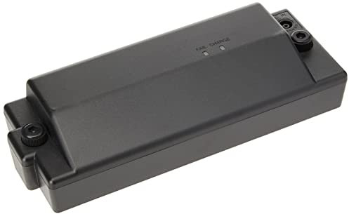 ROLAND Power Pack Ricaricabile per Ampli (BTY-NIMH/A) – Battery Pack Ricaricabile Ufficiale per Amplificatori Roland Selezionati, inclusi CUBE Street EX, AC-33, KC-220 e BA-330