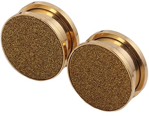 ANAZOZ 2Pcs Plugs Tunnels Oreille, Surface de Sable, Acier Inoxydable, Écarteur Oreille Doré/Argenté Punk Fantaisie Unisexe