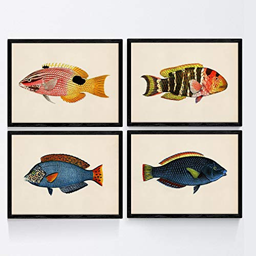 Nacnic Fische Poster 4-er Set. Handgemalt Stil Wanddekoration Abbildung von Meertiere und Ozean. Verschiedene mehrfarbige Tiere Bilder ohne Rahmen. Größe A4.