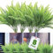 Titifeya 8pcs UV Resistant Lifelike Artificial Boston Fern, Plastic Greenery Shrubs for Indoor Outdoors, Faux Ferns Fake Ferns Artificial Plants, Fake Boston Fern for Porch Window Home Decor
