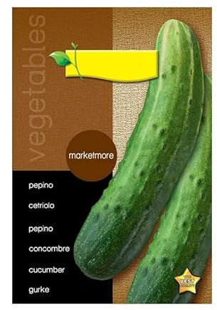 Semillas Planta Pepino para Cultivar Verduras en Casa Pepino Marketmore muy Beneficioso