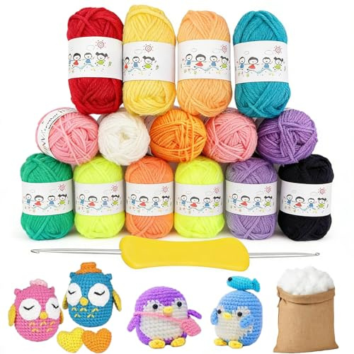 HcvGcm 17 Stück Wolle Zum Häkeln Set, 12 Farben Dicke Wolle, Häkelgarn Baumwolle, Garn Zum Stricken, Inklusive Häkelnadel, Baumwollgarn Und Drei Markierungsclips, Ideal Für Anfänger Und Amigurumi