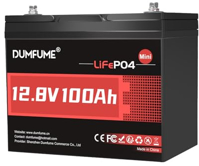 12V 100Ah Mini LiFePO4 Lithium Battery, Built-in 100A BMS