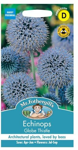 Mr Fothergill's ECHINOPS Globe Thistle