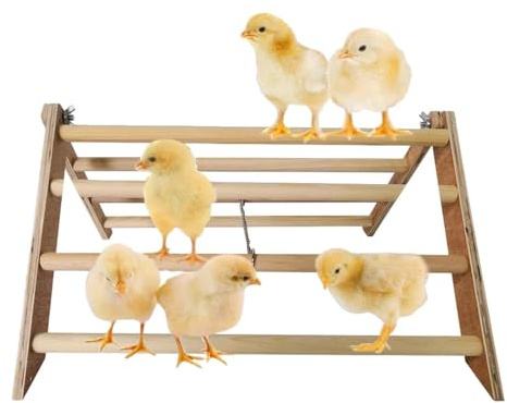 Barre de suspension en bois pour poules – Cintre d'entraînement pour poules, fournitures de support de jouet en bois pour poules | Barre de gymnastique interactive en bois pour gymnase