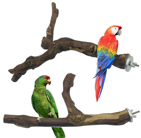 Allazone 2 PCS Perchoir Perroquet, Jouets Oiseaux en Bois, Jouet à Suspendre pour Perroquet, Bois Pieds Perchoirs, Balançoires, Échelles, Perché