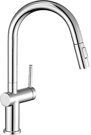 Auralum Wasserhahn Küche, Küchenarmatur Ausziehbar, Hochdruck Armatur Küche mit Brause Zwei Wasserstrahlarten, Mischbatterie 360°, Einhebelmischer Edelstahl