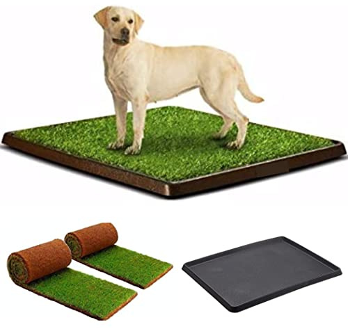 Kit XL cane PetZolla - Lettiera per cani in Vera Erba con Vassoio Riutilizzabile 100X90 cm, Traversine cane 100% Naturali e Atossiche, Toilette per cani in vero prato dura fino a 4 Settimane