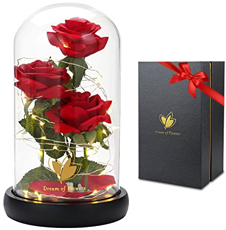 Mothers Day Preserved Rose Gifts for Mom Beauty and The Beast Rose in Glass Dome With 2 Lights Mode, Birthday Anniversary Valentines Gifts for Wife,Girlfriend，Red Silk Rose Flower Gifts for Women