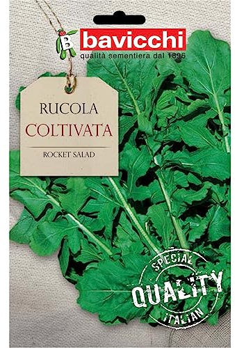 Bavicchi ZRU01 Busta semi Rucola coltivata