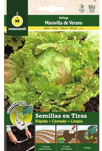 Mascarell Semillas, Lechuga Maravilla DE Verano, Cultiva Fácil, CREA tu Propio Huerto en Casa, Tira 5 Metros