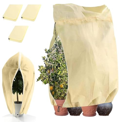 TaiXinYuly Housse hivernage pour Plantes, 3 Pièces Voile d'hivernage Plantes 80x100 cm Housse Bâche Protection Non Tissée 80 g/m² ，Protection hivernale pour Plantes en Pot, Palmiers, Olivier