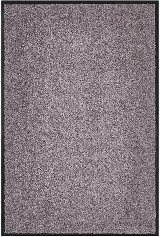 andiamo Premium-Fußmatte Wash & Clean - langlebige Schmutzfangmatte Hauseingang - als Fußmatte innen oder als Fußabtreter im überdachten Außenbereich - saugstarker Fußabstreifer 40 x 60 cm Taupe