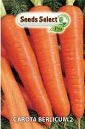 SEEDS SELECT PRO Semi di Carota Berlicum, 500g, Germinazione 14 Giorni, Altezza 40 cm, Per Esterno