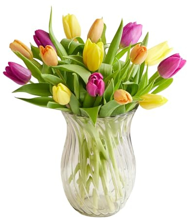1800 Flowers – 15 Stem Assorted Tulip Bouquet (Clear Vase Included) | Fresh Cut Spring Flowers for Delivery | Gift for Easter, Anniversary, Sympathy, and Special Occasions