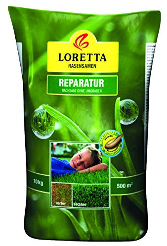 Greenfield Rasensamen Loretta Reparatur 10 kg, grün