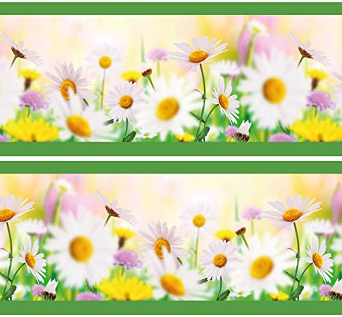 Selbstklebende Bordüre Daisyfield, 4-teilig 560x15cm, Tapetenbordüre, Wandbordüre, Borte, Wanddeko,Gänseblümchen, Blumen