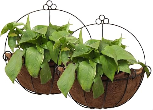 Tosnail PVC Coated Metal Colgar en la Pared Maceta Cesta con Coco Maletero – Ideal para Interior o Exterior Plantas – Pack de 2
