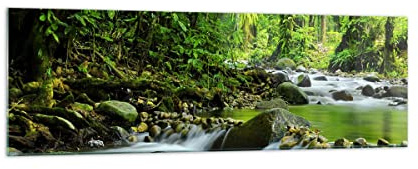 Panorama Bilder auf Glas 160x50cm Glasbild Stream Wald Natur Groß XXL Wanddeko Bild im Glas Schlafzimmer Küche Wandbilder Dekoration Wohnzimmer Modern Wall Decor Wand Kunstdruck Art GAB160x50-0174