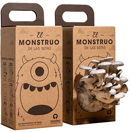 El monstruo de las setas - Regalo Educativo y Divertido con Lápices para Colorear - Kit de Cultivo de Setas para Niños - Actividad Sostenible, Culinaria y Creativa | Resetea