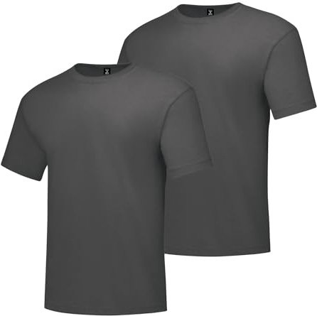 Hanes mens Short Sleeve Beefy-t (Pack of 2) T Shirt, Charcoal Heather, XX-Large US