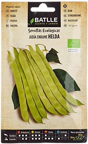 Graines Bio de Batlle - Haricots à rames Helda (28-70 graines), Blanche,Vert