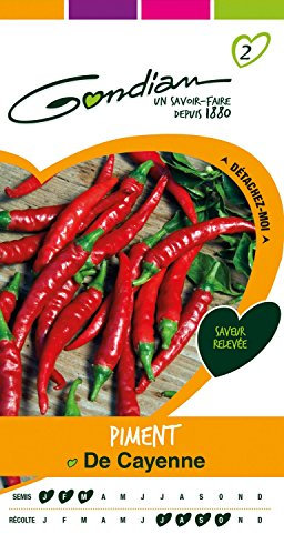 Gondian 153695 Semences-Piment/Poivron de Cayenne-CP 2, Rouge, 1x8.1x16 cm