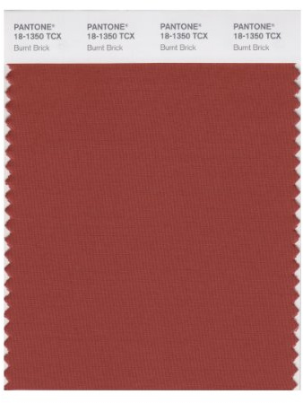 PANTONE Smart 18-1350X Color Swatch Card, Burnt Brick