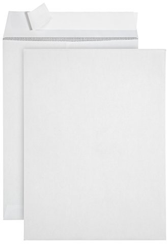 100 9 X 12 Self Seal Security Catalog Envelopes - Designed for Secure Mailing - Securely Holds up to 60 Sheets of Paper with Strong Peel and Seal Flap (100 Envelopes)