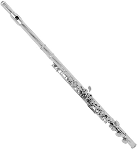 Mässing Silverpläterad 16-håls C-nyckelflöjt Träblåsinstrument Med Förvaringsväska Och Tillbehör Tvärflöjt Kit