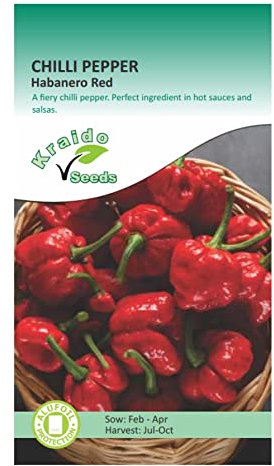 Chilli Spicy Hot Pepper Seeds Habanero 10 Seeds Capsicum Annuum Grow Your Own Vegetable Ideal for Greenhouse or Garden Growing in Raised Beds Polytunnel Growbag or in Large Pots and Containers