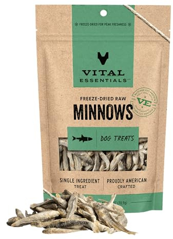 Vital Essentials Freeze Dried Minnows Dog Treats | Single Ingredient | Premium Quality | Grain Free Treats for Dogs, 2.5 oz Bag