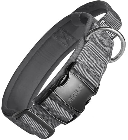 OneTigris Hunde Halsband mit Metallschnalle für Hunde Grau L
