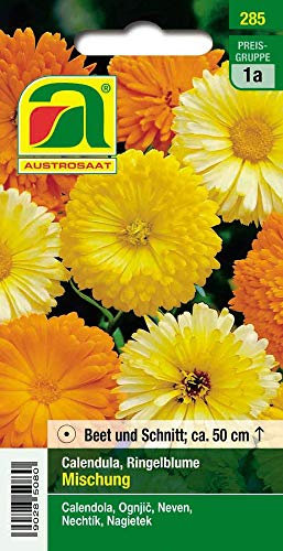 Austrosaat 285 Ringelblumen Mischung (Ringelblumensamen)