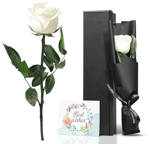 VOIDHUES Rosa eterna in confezione regalo, vera rosa infinita conservata con gambo, rosa durevole, regalo per donne, mamma, adatta per compleanni, anniversari e San Valentino (bianco)