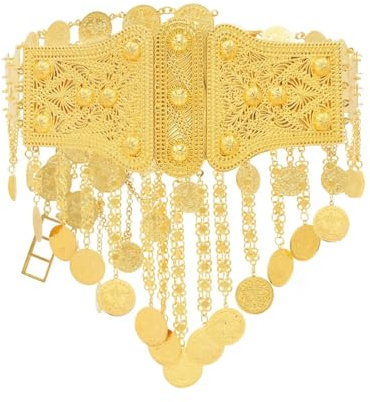 Wvapzxx Cadena de cintura de metal árabe indio grande con moneda francesa, tallada con flores, cadenas para el vientre, joyería tradicional de Argelia para fiestas, 8418a, Talla única