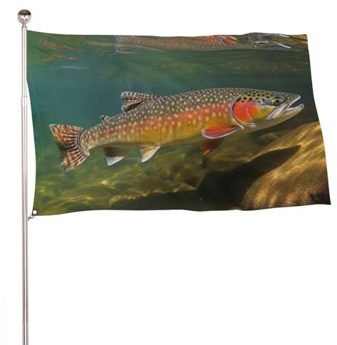Drapeau de bienvenue personnalisé de 119,4 x 177,8 cm - Drapeaux amusants de ruisseau, truite, pêche à la mouche, maison, extérieur, cour - Drapeau de bienvenue pour l'hiver et le printemps - Pour