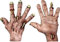 Ghoulish Productions - Manos de carne de zombi, Línea Zombies, Disfraz de Látex resistente, pintada a mano, Halloween, Desfile de Carnaval, Fiesta de Disfraces, Talla única adulto