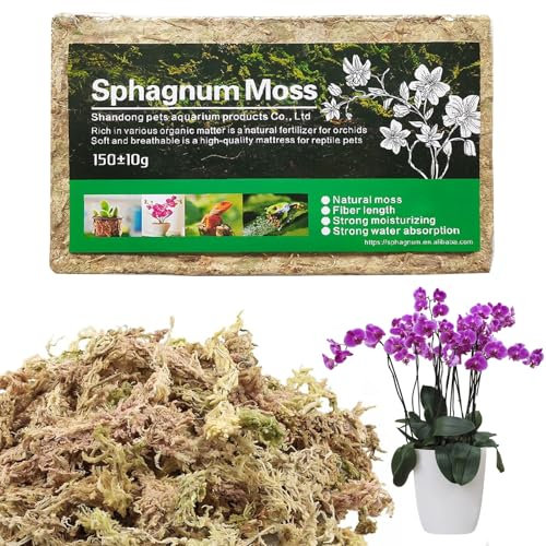150g Sphaigne pour Plante, Premium Compressé Sphaigne pour Orchidées, Mousse de sphaigne, 12L de Mousse de sphaigne de Jardin hydratant Nutrition Engrais Organique pour orchidée Phalaenopsis
