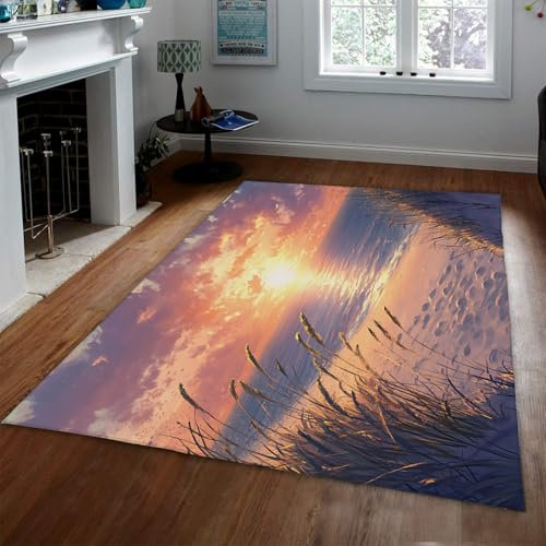 HOBBOY Tappeto Nuvole Soffici Tappeto Sunrise Beach Area Tappeto Canne Mare Tappeto Tappetino Pavimento a pelo corto Tappeti antiscivolo per interni per soggiorno Cucina 240 x 300 cm