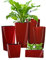 Pflanzwerk® ÖKOSYSTEM Pflanzkübel Cube - Blumentöpfe Übertöpfe mit BEWÄSSERUNGSSYSTEM - 13x15x15cm Shiny ROT *Indoor & Outdoor Blumenkübel* *UV-Schutz* *Premium Markenqualität*