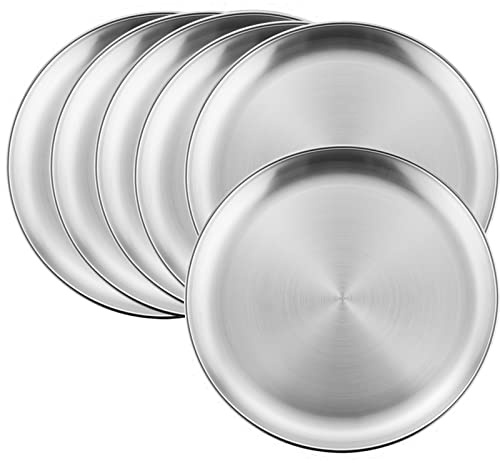 HaWare 6-Piece 18/8 Stainless Steel Plates, Metal 304 Dinner Dishes for Kids Toddlers Children, 10 Inches Feeding Serving Camping Plates, Reusable and Dishwasher Safe