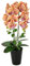 Künstliche Orchidee 58cm im Topf Kunstorchidee Blume Kunstblumen Kunst Orchidee Kunstorchidee Phalaenopsis Kunstpflanze wie echt Hochzeit Deko Seidenblume Real Touch Blüte Tischgesteck Seidenblume