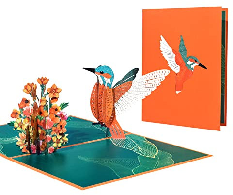 GREETING ART pop-up karte kolibri,Pop Up Geburtstagskarte 3D Grußkarte zum Geburtstag Muttertag Valentinstag Hochzeitstag Graduierung,3D Pop Up Karte für Frau Mann Kinder