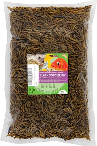 UGF - Larve di mosca soldato Hermetia - Meglio delle larve della farina essiccate (250 g) - 85 volte più calcio delle larve della farina vive - Snack BSFL per uccelli selvatici, tartarughe, ratti, ric