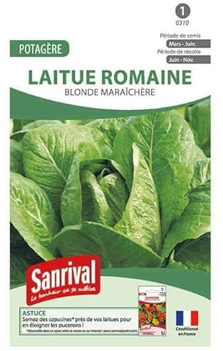 Graines Laitue Romaine