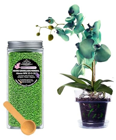 LiveLaif®- 150 gr Abono Orquideas NPK Liberacion Lenta 6 meses | Fertilizante Orquideas Crecimiento, Floracion y Salud Floral | Abono plantas | Fertilizante plantas | Bote con tapa (150 gr)