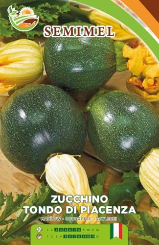 Zucchino Tondo di Piacenza - Semi di Zucchino Verde Scuro Frutti Tondi e Dolci Semina da Febbraio a Luglio 2 confezioni